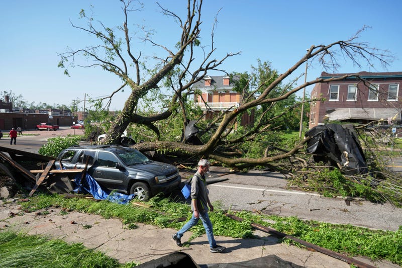 A person walks past a large tree blocking a road after a severe storm moved through Friday, May 16, 2025, in St. Louis.