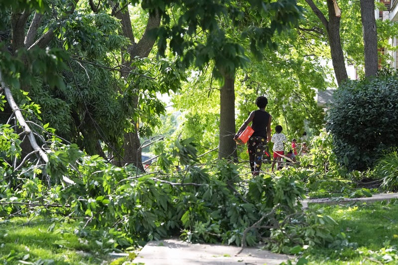 People navigate downed trees left in the wake of a severe storm moved through Friday, May 16, 2025, in St. Louis.