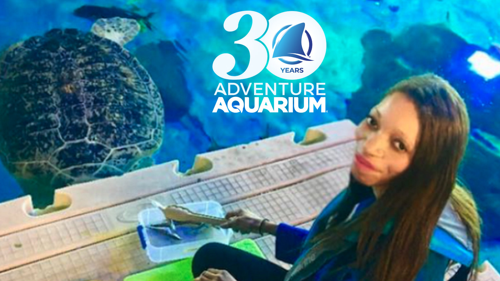 Win tickets to Adventure Aquarium and explore Turtles