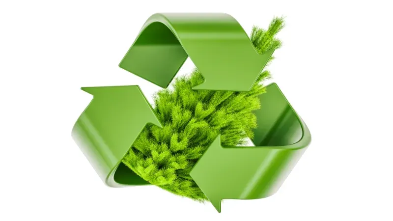 Holiday Tree  Recycling in ATX! Natural and Artificial! Don't Toss It! 
