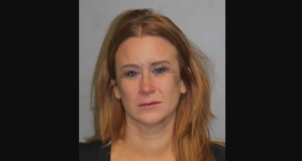police purse wrong-way driver in Shelby Twp.