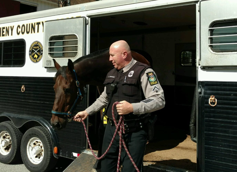 Allegheny County Police horse King