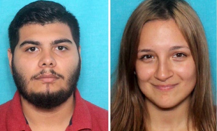 Suspects are alleged to have done over $10,000 damage to historic carousel and other items at City Park, Storyland