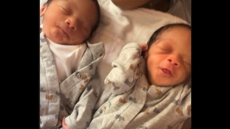 Four people arrested in kidnapping of twin babies at Livonia hotel, investigation still ongoing