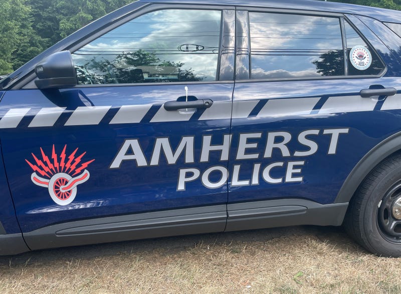 Amherst Police say they are investigating an officer involved shooting following a domestic disturbance Saturday afternoon on Bailey Avenue.