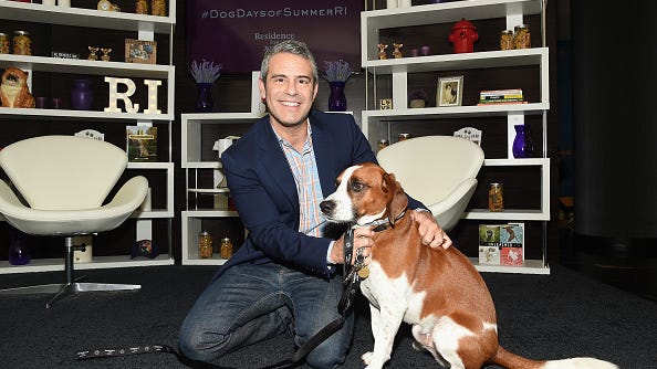 Andy Cohen reunites with dog months after placing him in new home