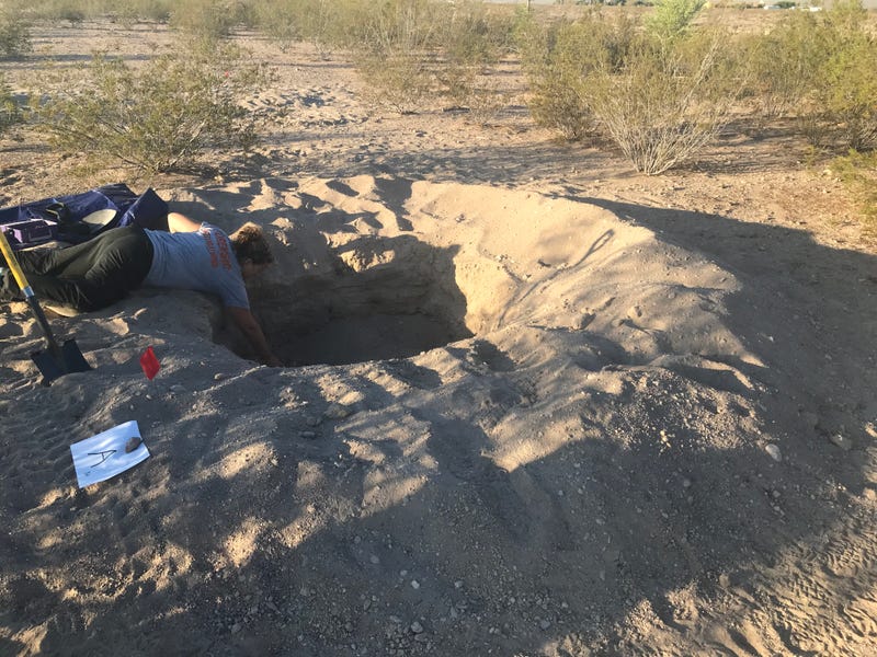 Investigators search a gravesite containing dogs on an Amargosa Valley property
