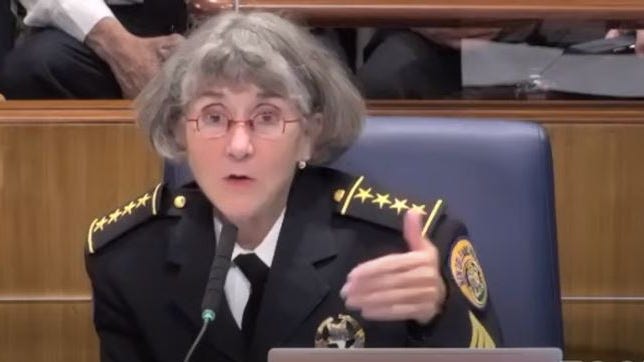 Kirkpatrick makes case for becoming NOPD chief to council
