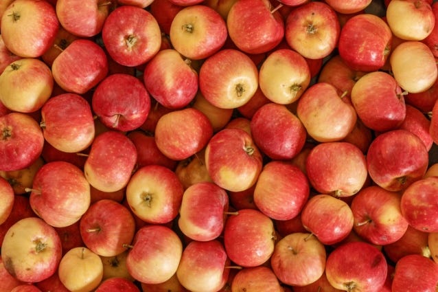 apple fest