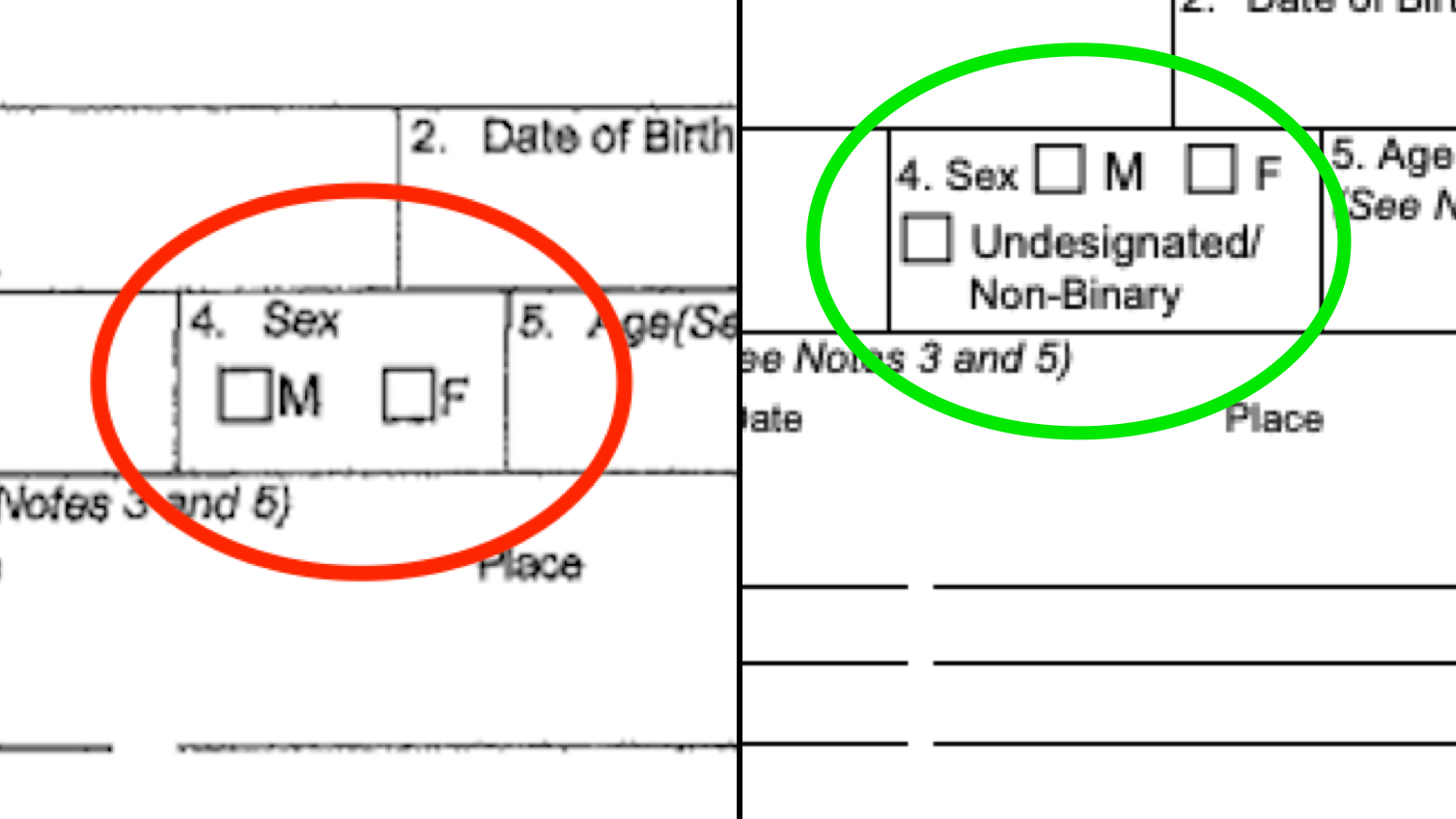 NJ calls out 28 towns, cities for omitting nonbinary option on marriage applications