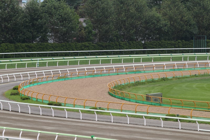 Arlington Park Bears