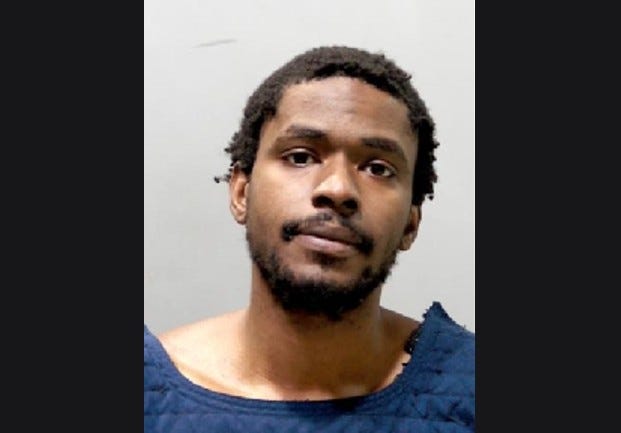 A man suspected of setting more than ten fires in Detroit was caught in he act and arrested by police after a year-long arson spree terrorized Virginia Park and surrounding neighborhoods.