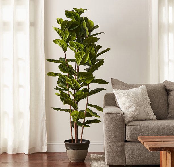 Artificial fiddle leaf fig tree