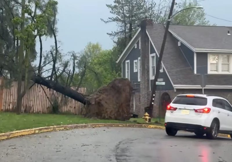 Storm damage in Aspinwall on April 29, 2025