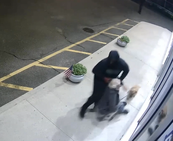 Video shows 75-year-old man being attacked by two men as they burglarized a motorcycle dealer in New Hyde Park in August