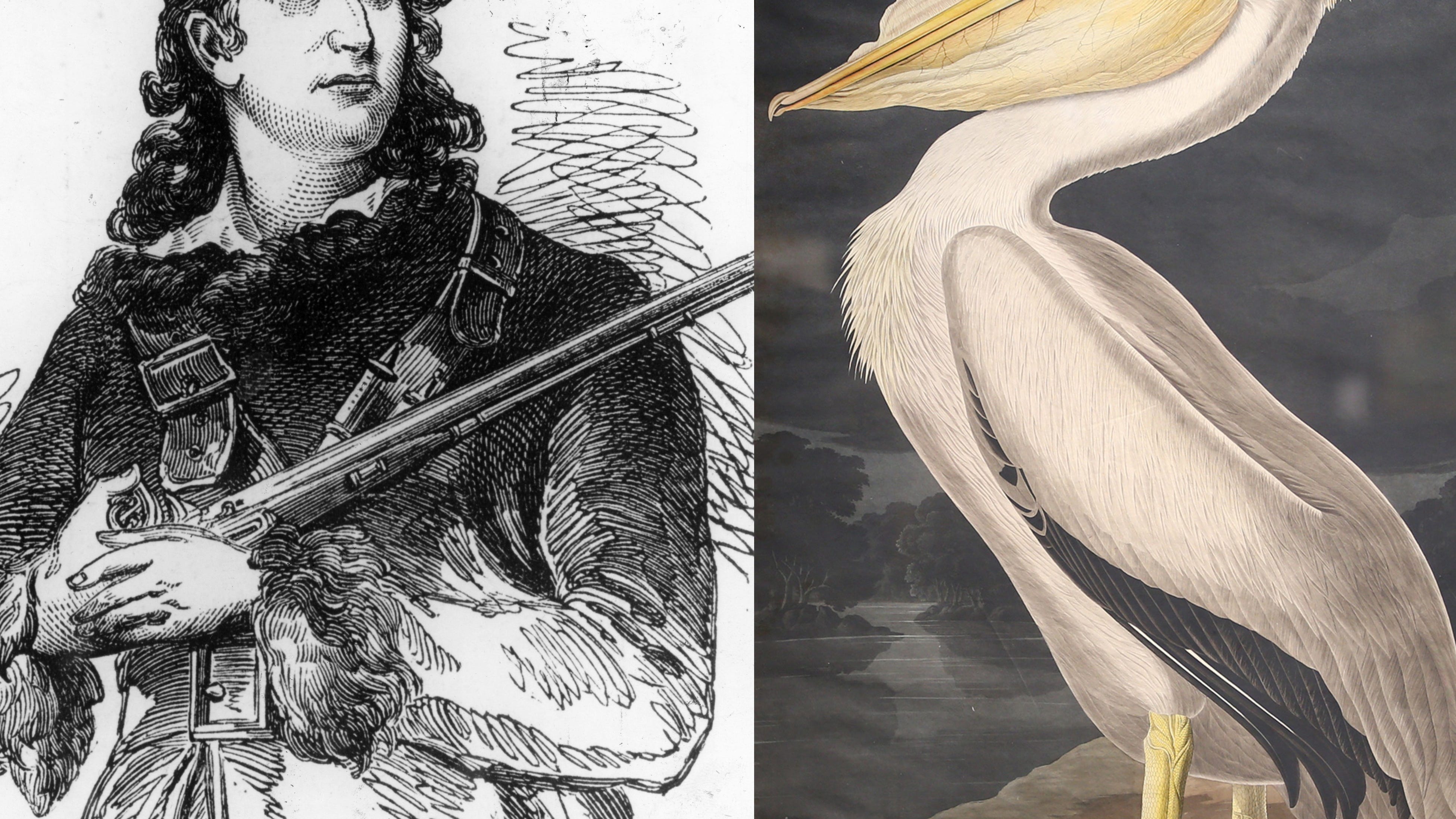 NYC Audubon Society to change name over pro-slavery namesake who penned racist writings