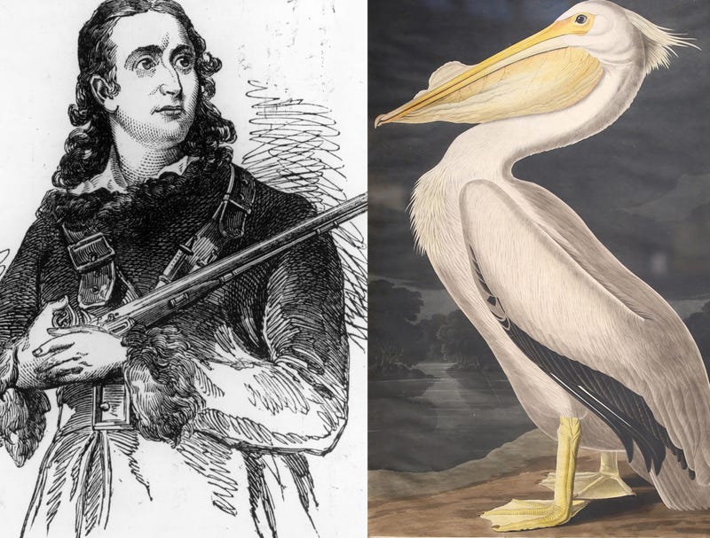(Left) American naturalist and artist John James Audubon (1785 - 1851), circa 1810. Original Publication : Illustrated London News - pub. 15th February 1851. (Right) A John James Audubon illustration.