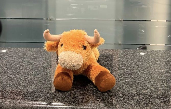 Lost toy "Austin the Cow" discovered at Metro Airport
