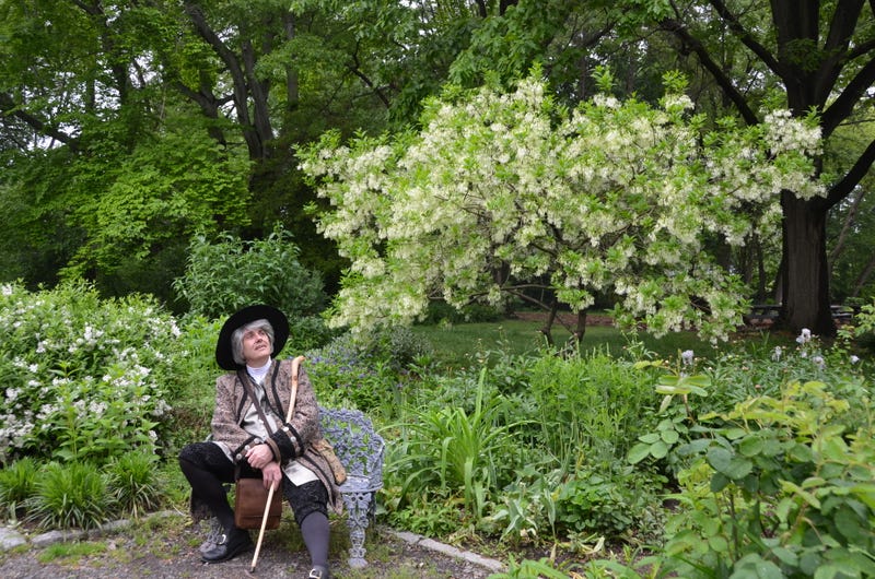 Awbury Arboretum