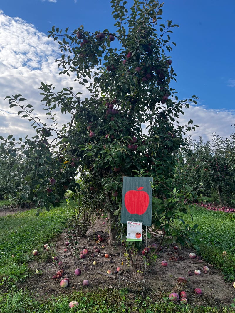 Becker Farms