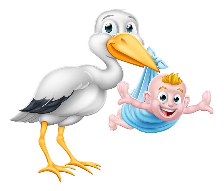 stork with new born