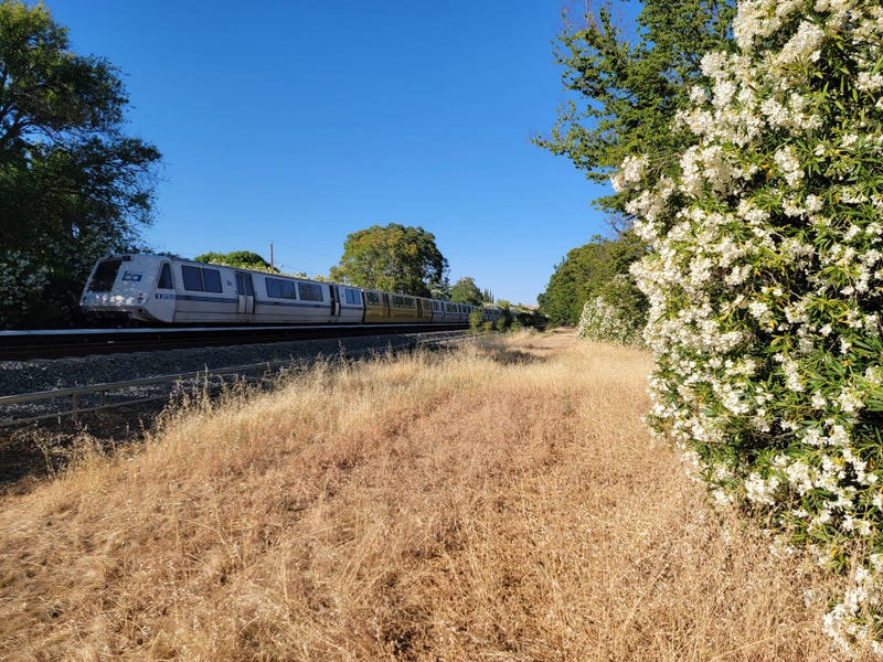 A derailed BART train in the East Bay has been safely evacuated, while service remains paused in both directions between Pleasant Hill and Concord.