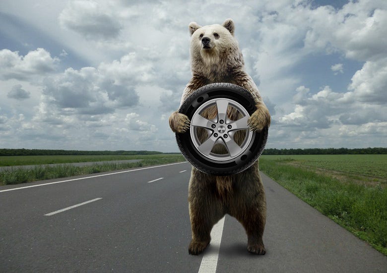 bear holding car tire