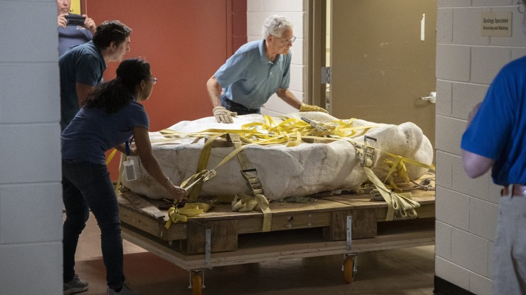 New dinosaur fossils, nicknamed 'The Beast,' arrive at Field Museum