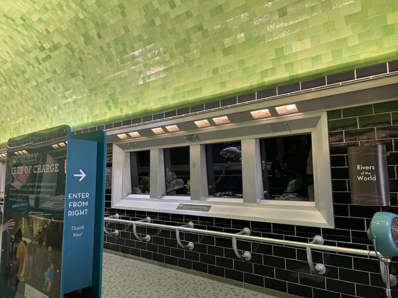 Inside the Belle Isle Aquarium
