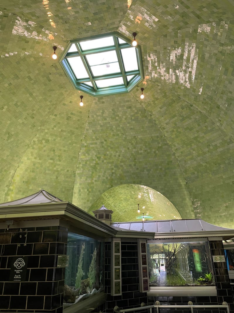 Inside the Belle Isle Aquarium
