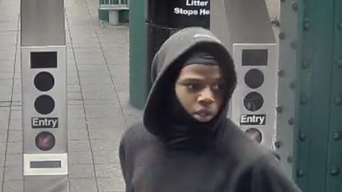 Man asks subway rider what time it is, snatches her phone on Brooklyn train: NYPD