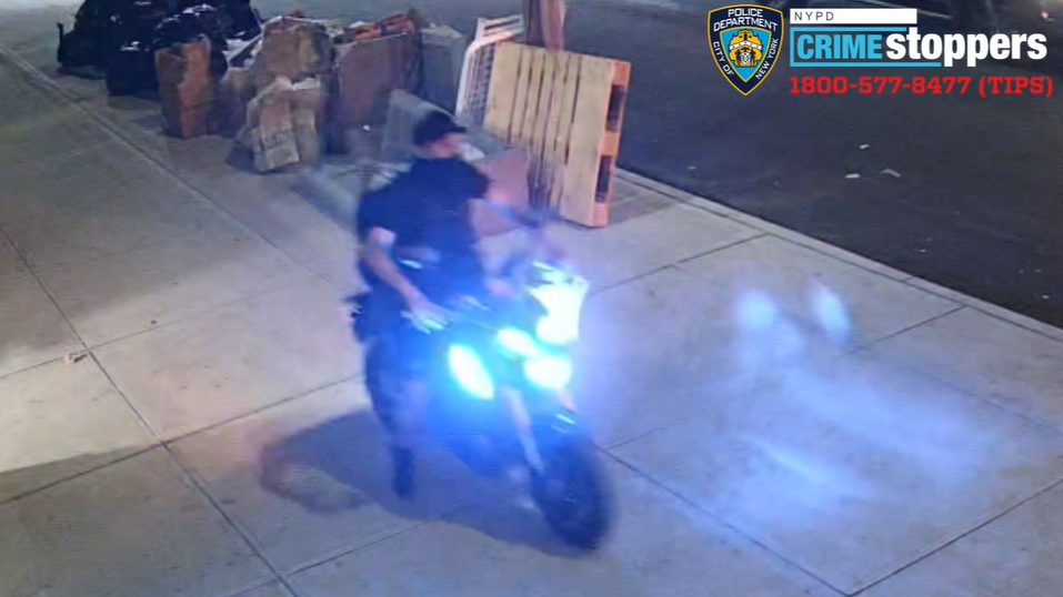 Teen dog walker groped by man on Brooklyn street