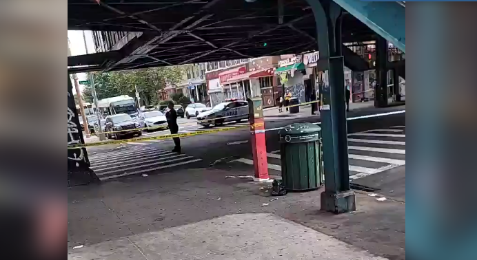 Brooklyn stabbing