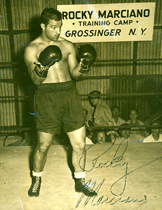 Boxer