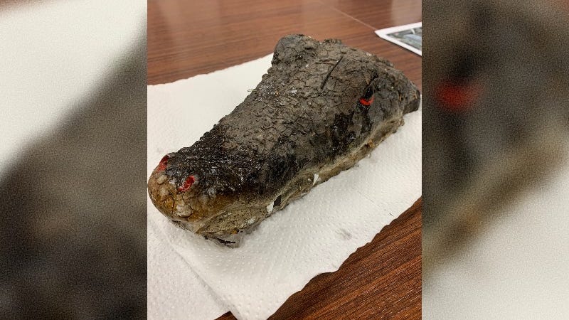 Bloomfield Twp. police: call of 'alligator or crocodile' in pond turned out to be fake [PHOTO]