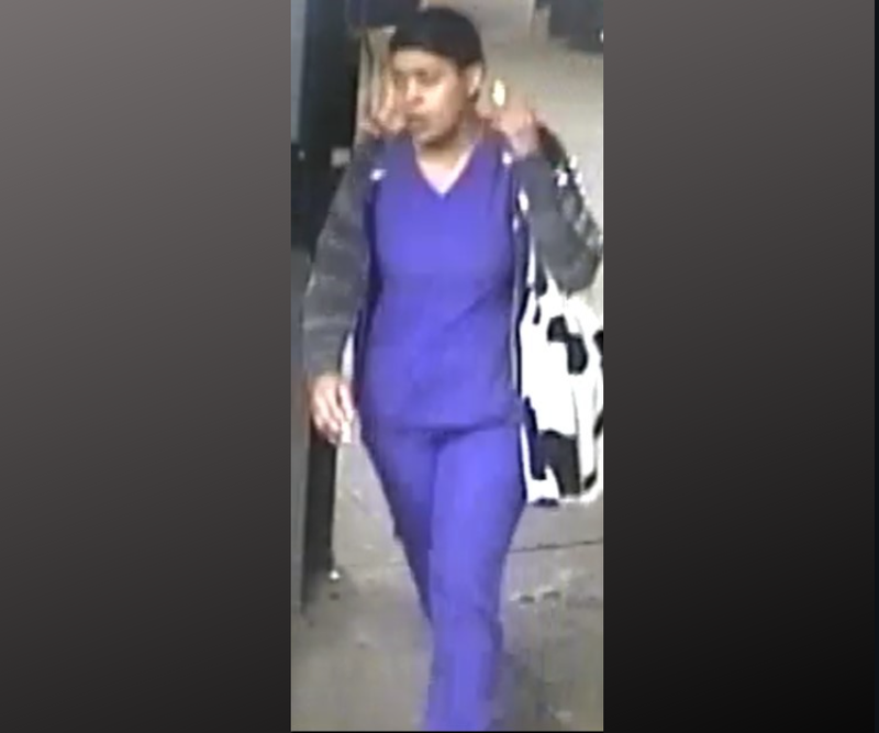 Bronx suspect