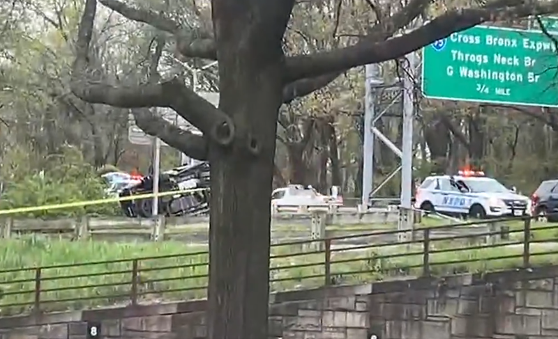 A woman, 30, died and her 34-year-old passenger was hospitalized in critical condition in a crash on the Bronx River Parkway early Friday morning.