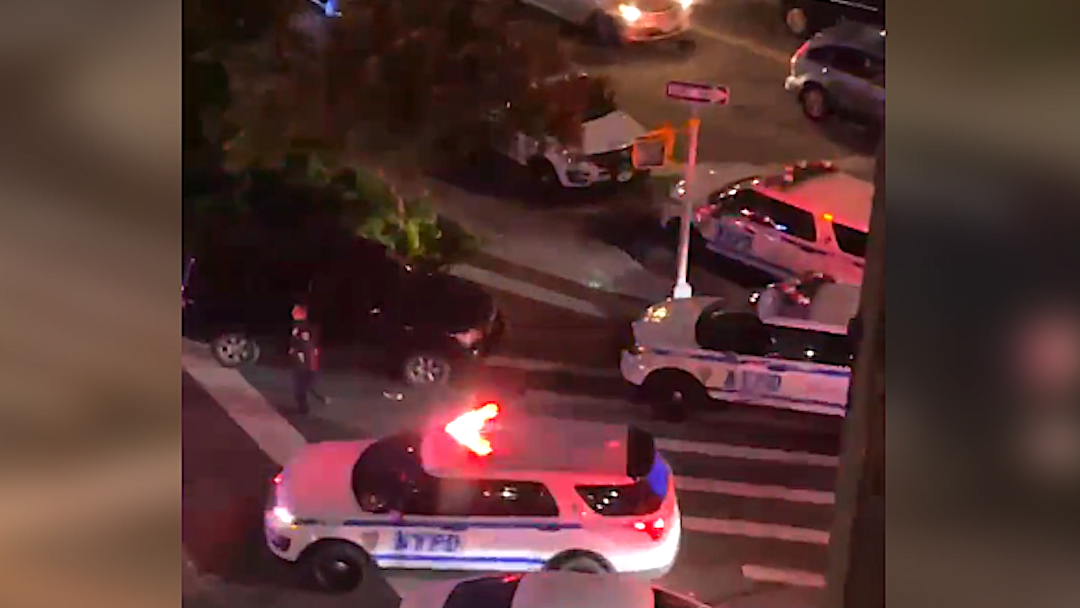 Woman, 25, dies 2 months after stray bullet struck her neck at Bronx playground