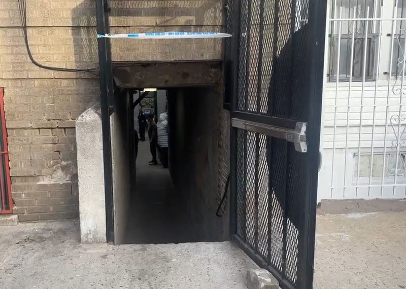 A newborn was found dead in a Bronx courtyard on Wednesday morning.