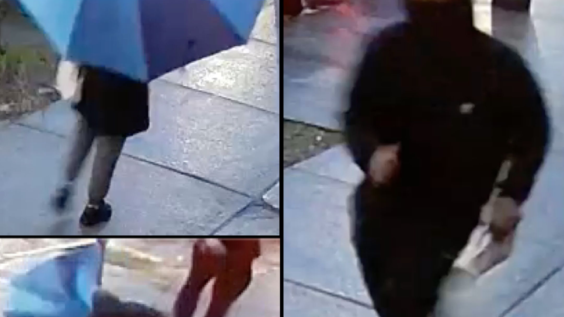 VIDEO: Purse-snatcher knocks pregnant woman to ground in Queens