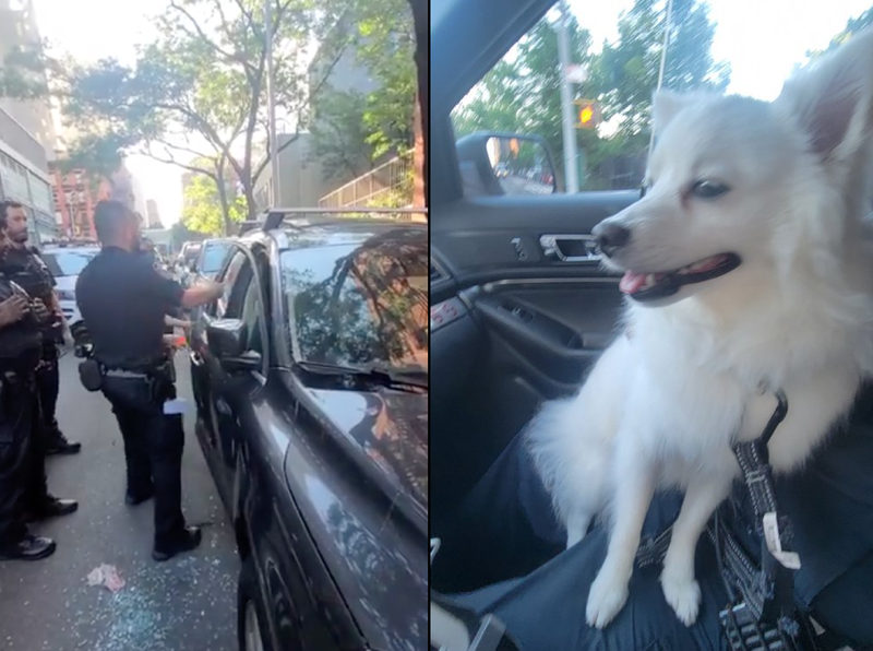 The dog was found in distress inside a locked hot car on the Upper East Side by officers responding to 911 call