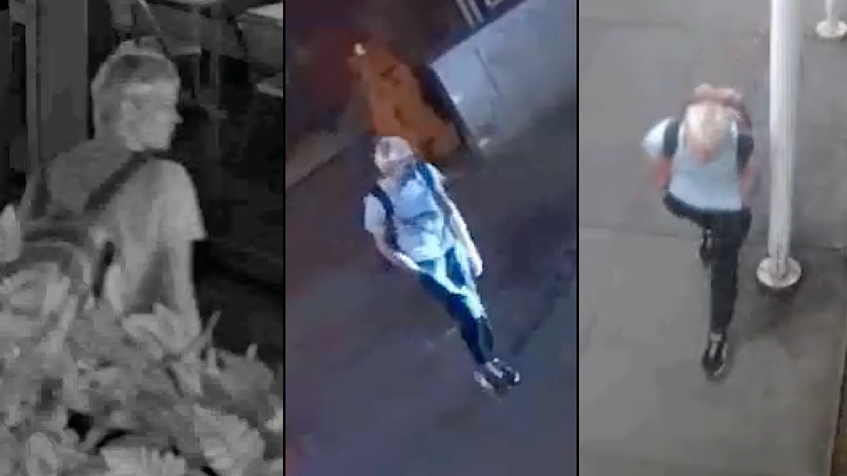 Man arrested on hate crime charges in 7 attacks on Asian women in Manhattan: police