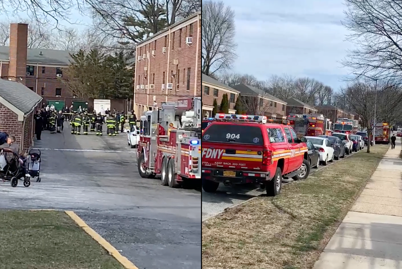 Police said the 75-year-old woman was struck by a Mercedes-Benz reversing out of a garage in Oakland Gardens