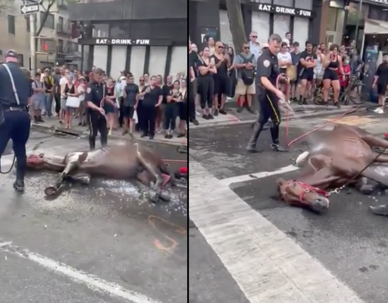 Video from August shows Ryder lying on a Manhattan street after collapsing