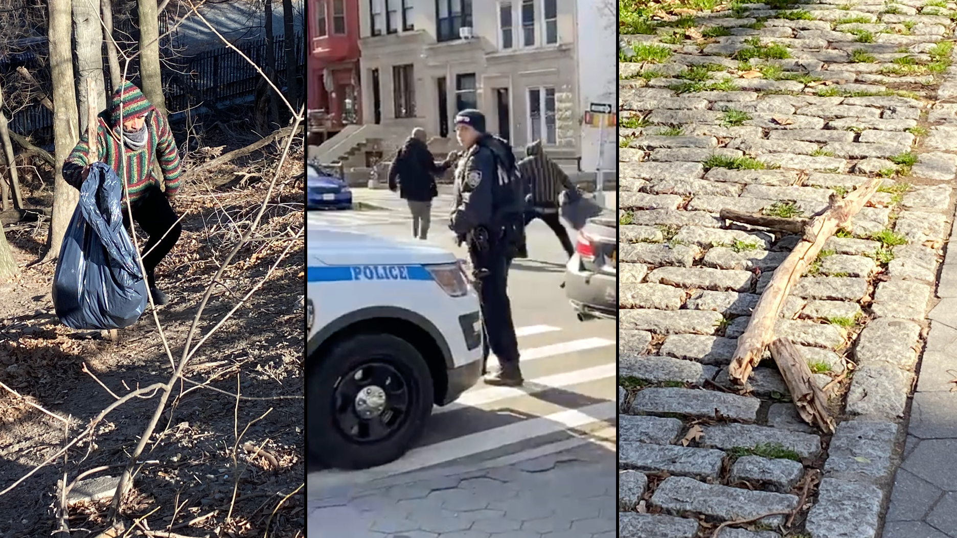 VIDEO & PICS: Homeless man climbs down from Manhattan treehouse, attacks reporter with stick