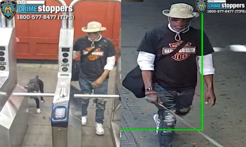 The suspect fled on foot and was last seen on a southbound J train, police said