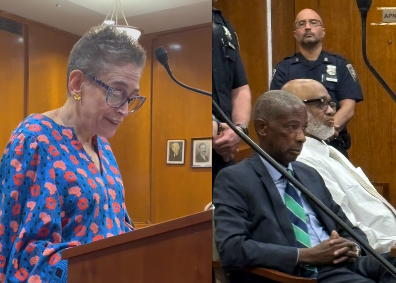 aNina Rothschild gave a victim impact statement in court on Thursday as a judge sentenced William Blount, 60, to 25 years to lifeA screenshot from security footage of the robbery depicting the attacker climbing up the stairs with a hammer in one hand and a purse in the other.