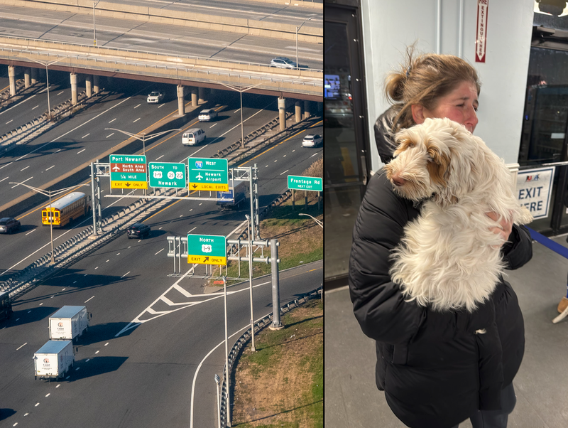 Bauer was reunited after a woman found him on Route 78 in Newark