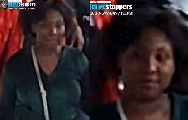 Police are searching for a woman in an unprovoked attack on the L train in Ridgewood