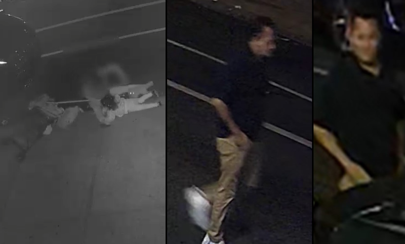 Police are searching for a man who they say slapped a woman's buttocks, causing her to fall to the ground along with her children and dog in Sunset Park on the night of May 1